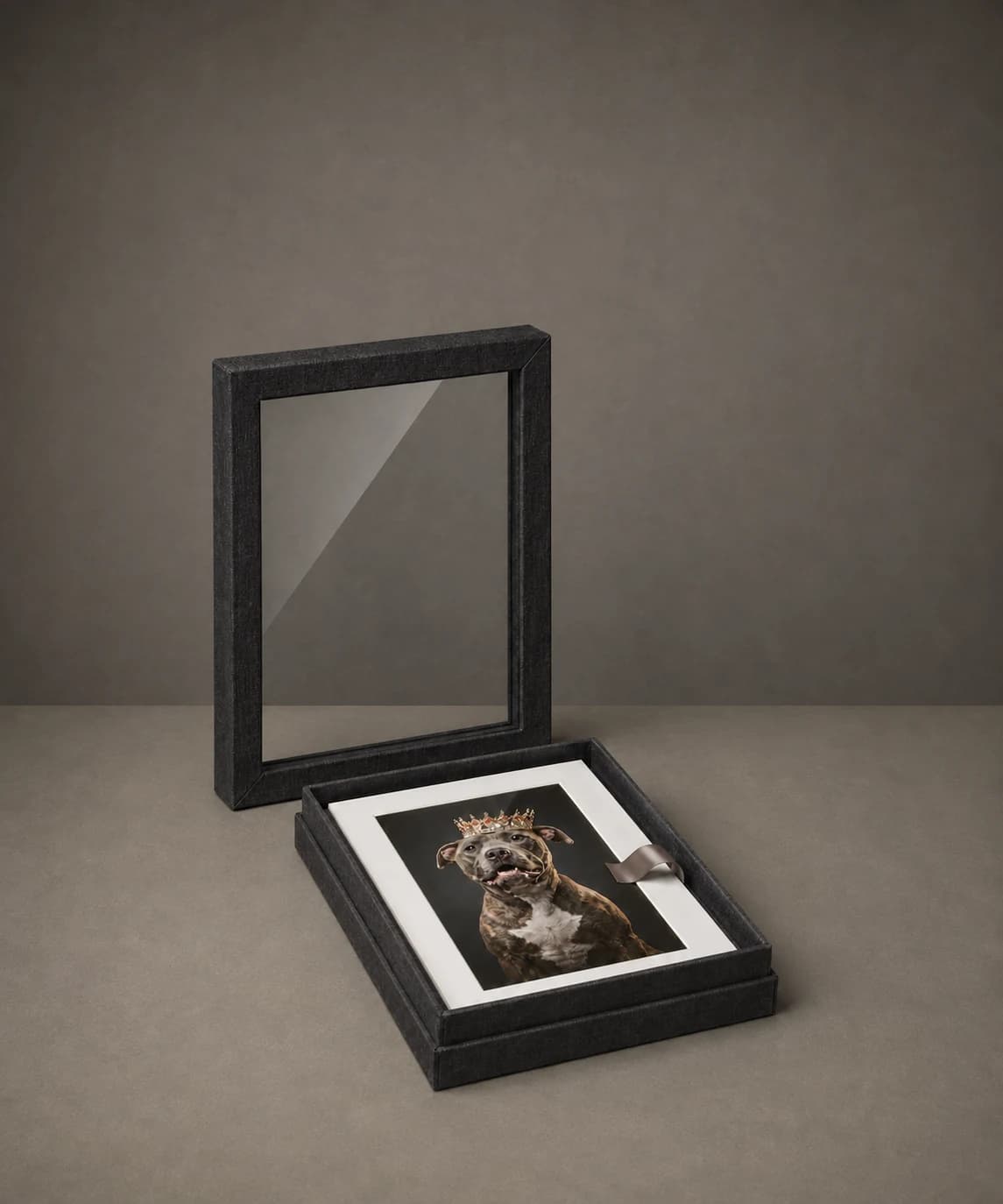 Illustrative window image box with a clear lid and loose matted pet portraits